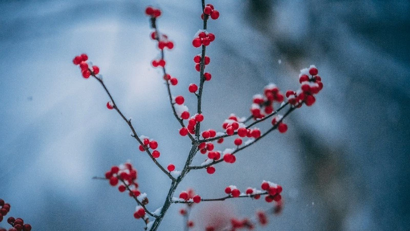 Народные приметы на 23 января: что строго нельзя делать