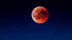 Денежный лунный календарь на март 2024 года: лучшие дни для траты денег  