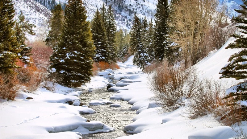 Народные приметы 11 марта: что строго нельзя делать 