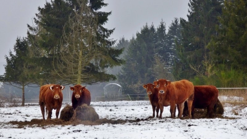 Народные приметы на 18 февраля: что строго нельзя делать 
