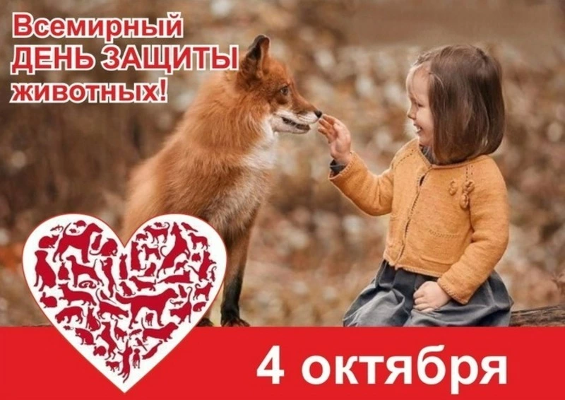 Всемирный день защиты животных 2024: картинки 