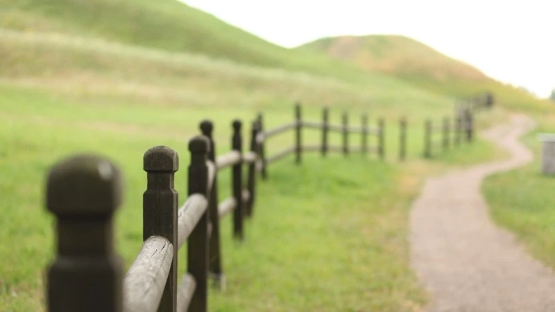 Народные приметы на 21 июля 2024: что можно и нельзя делать в этот день 