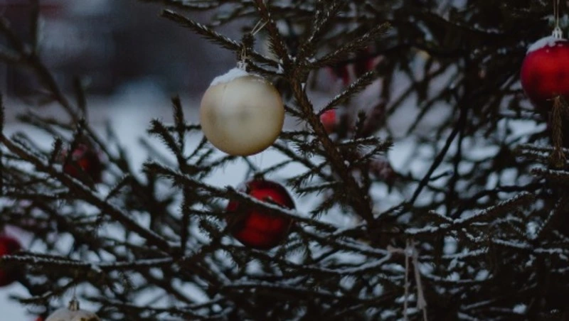 Церковный праздник 30 декабря 2023 года: что нельзя делать, приметы