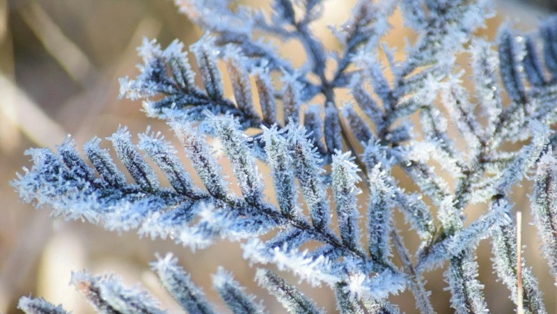 Церковный праздник 22 января 2024 года: что нельзя делать, приметы