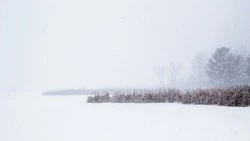 Метель обрушится на Сахалин и Курилы 2 февраля 
