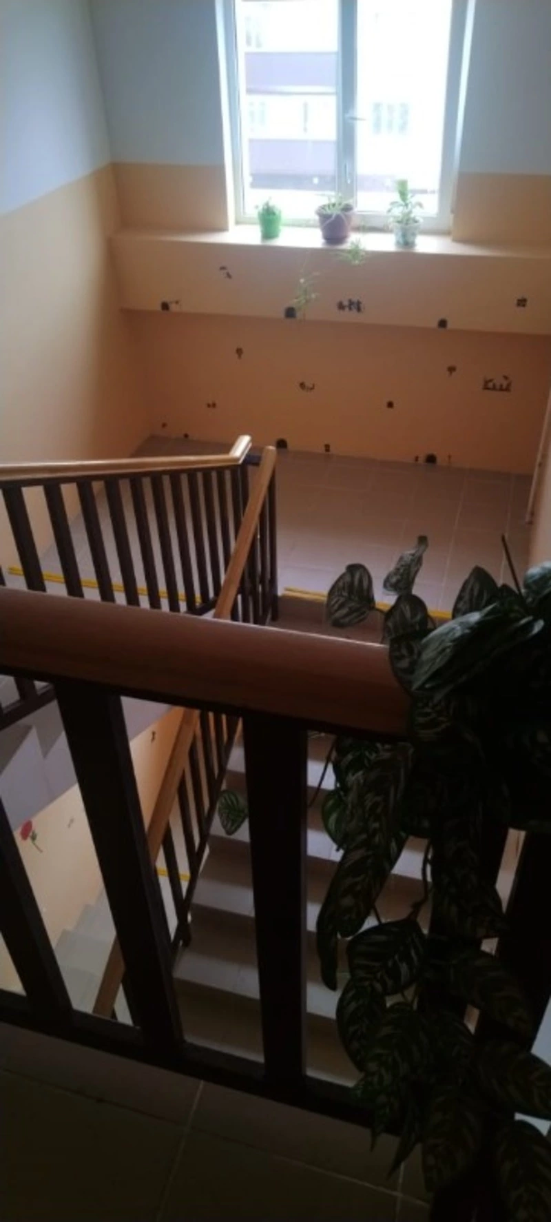 Среди 16 лучших – подъезд по улице Почтовой, 7а в Кировском