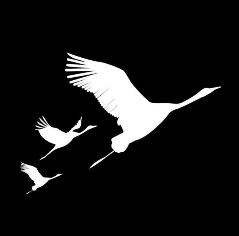 Оправданий терроризму нет…