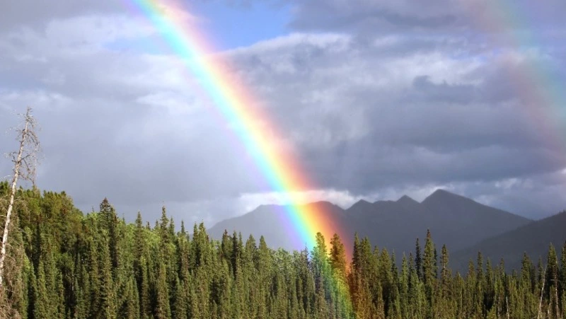 23 июня 2024 — Знамения Тимофея: народные приметы, традиции, что нельзя делать