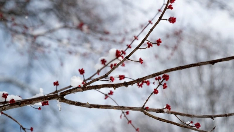 Народные приметы 7 апреля: что строго нельзя делать 