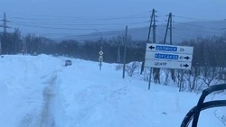 Движение по всем дорогам Сахалинской области возобновят 29 января