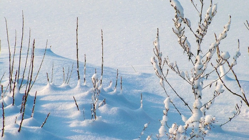 Слабый снег и +2 градуса: погода на Сахалине и Курилах 27 января