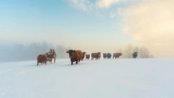 Церковный праздник 19 февраля 2024 года: что нельзя делать, приметы 