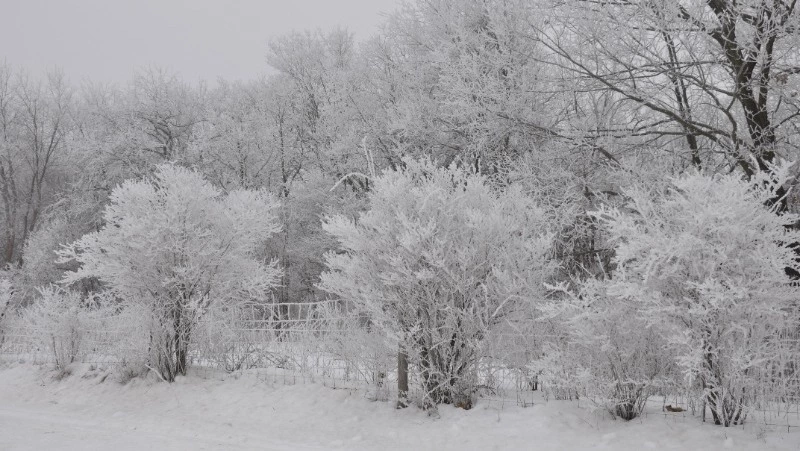Народные приметы на 4 января 2024 года: что строго нельзя делать