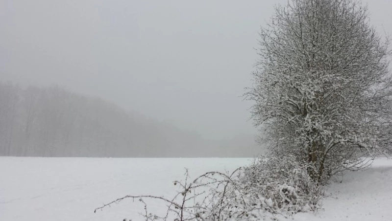 Дождь и сильный ветер ожидаются в Сахалинской области 7 декабря    