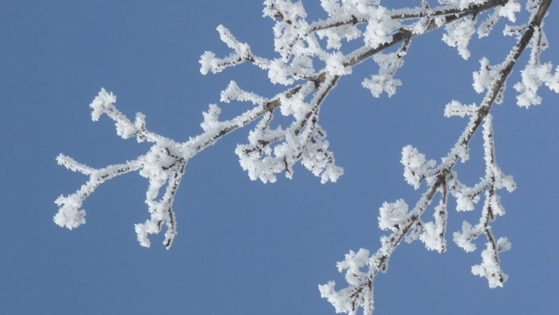 Церковный праздник 25 января 2024 года: что нельзя делать, приметы 