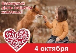 Всемирный день защиты животных 2024: картинки 