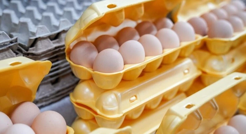 В 2023 году розничные цены на куриные яйца в среднем по России выросли на 40%