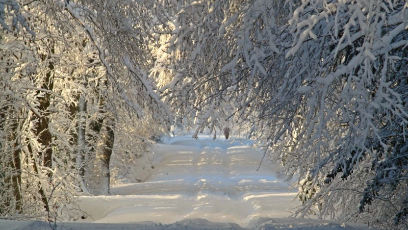 Церковный праздник 18 декабря 2023 года: что нельзя делать, приметы