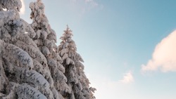 Циклон обрушится на Сахалин и Курилы на новогодних праздниках