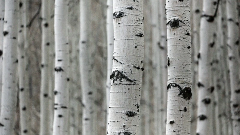 Народные приметы 11 мая: что строго нельзя делать 