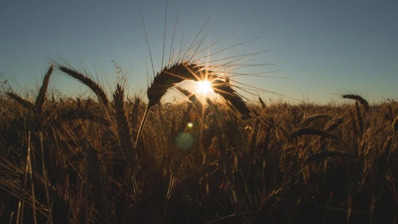 Народные приметы 15 мая: что строго нельзя делать 