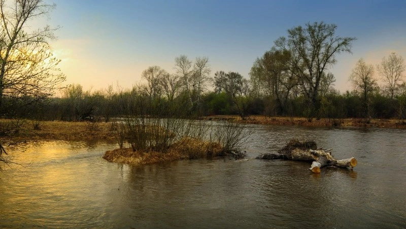 Народные приметы на 24 апреля 2024 года: что строго нельзя делать в этот день  