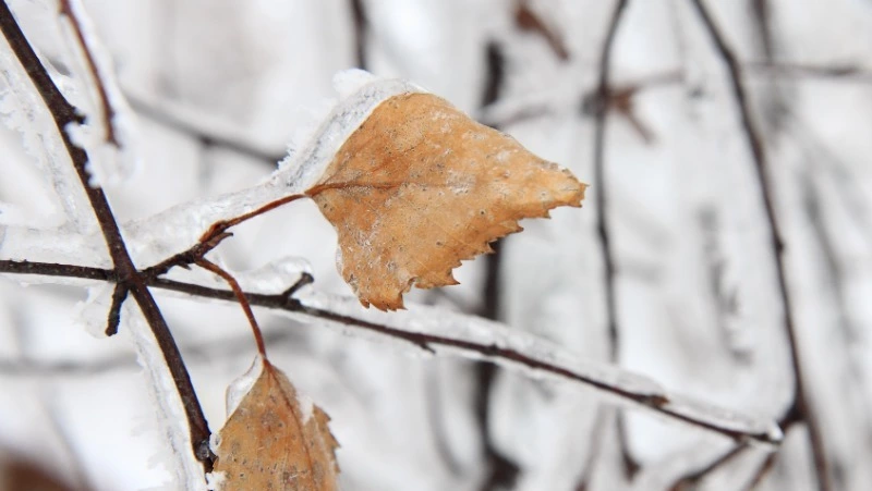 Северный ветер и -5 градусов: погода в Сахалинской области 16 февраля   