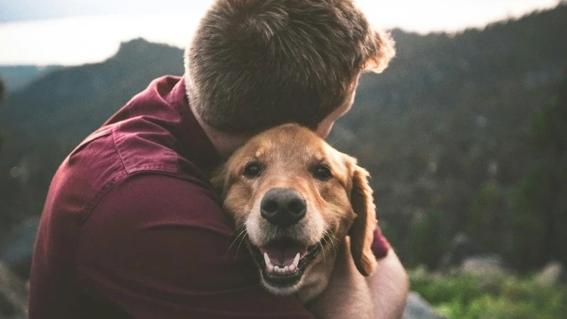 11 апреля: какой сегодня праздник, что было в этот день 