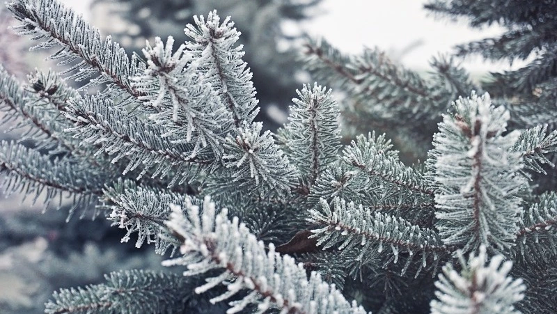 Церковный праздник 13 декабря 2023 года: что нельзя делать, приметы