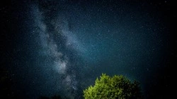 Ежедневный гороскоп на 19 августа 2024 года для всех знаков зодиака