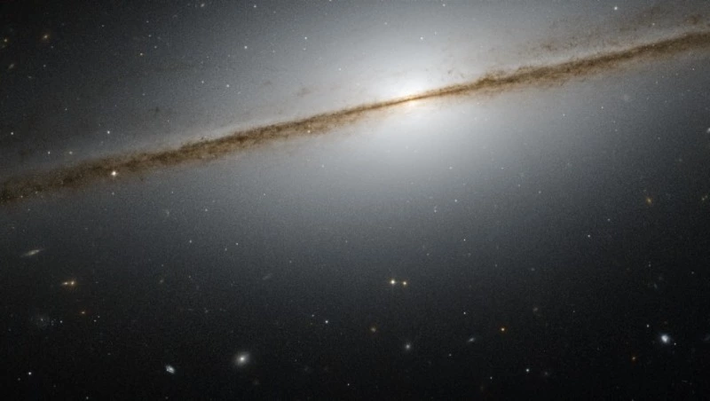 Гороскоп на 8 марта 2024 года для всех знаков зодиака 