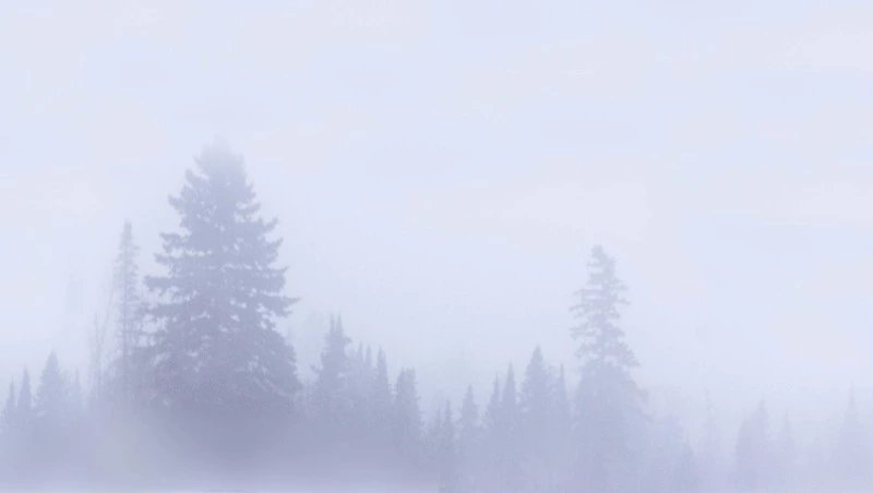 Циклон с мокрым снегом: прогноз погоды на неделю в Сахалинской области