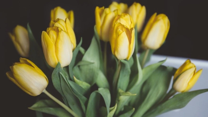 28 февраля 2024: какой сегодня праздник, события в этот день 