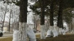 Чтобы было чисто