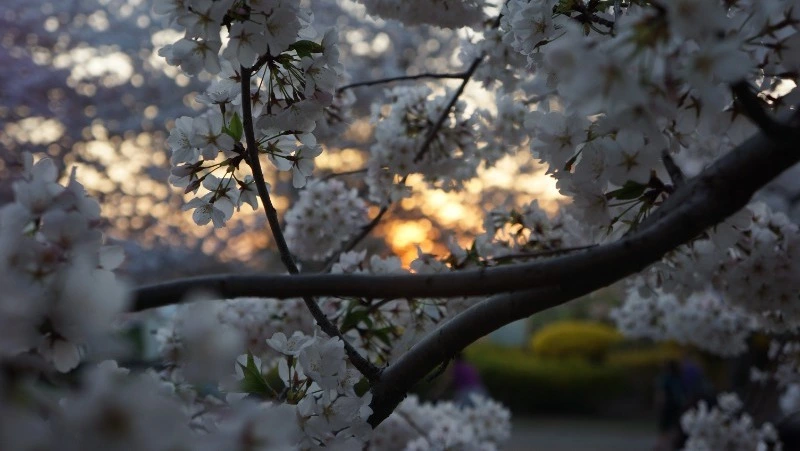 Народные приметы 14 апреля: что строго нельзя делать