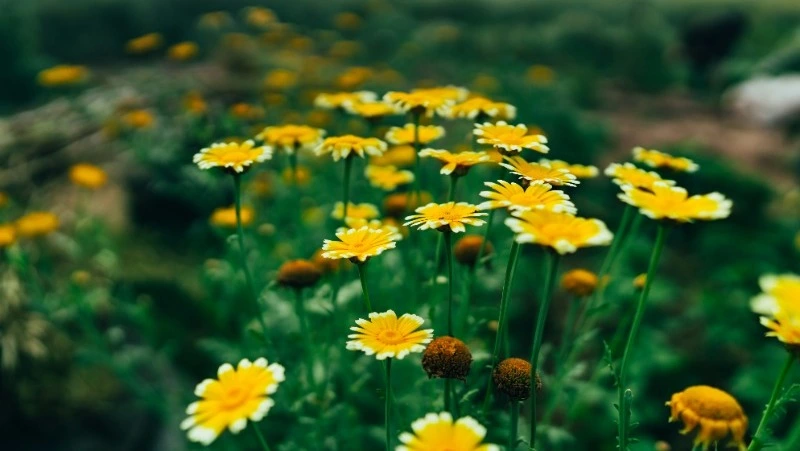 Народные приметы 13 мая: что строго нельзя делать