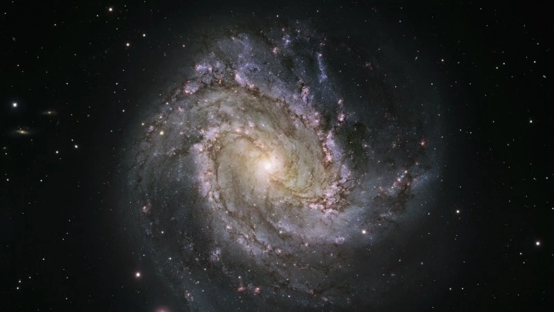 Гороскоп на 2 июня 2024 года для каждого знака зодиака 