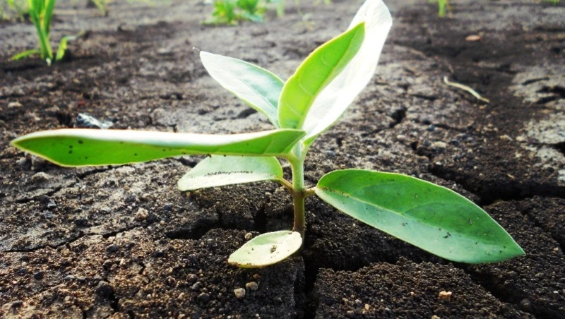 Народные приметы 29 апреля: что строго нельзя делать