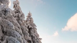 Циклон обрушится на Сахалин и Курилы на новогодних праздниках