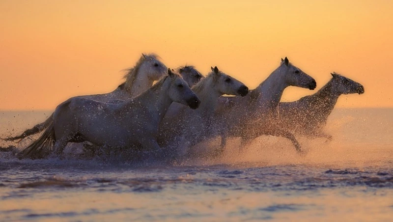 Народные приметы 20 мая: что строго нельзя делать