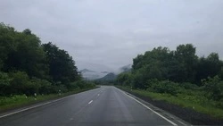Сильный дождь накроет часть Сахалинской области 14 августа 