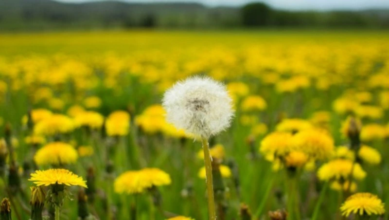 Народные приметы на 22 мая: что строго нельзя делать 