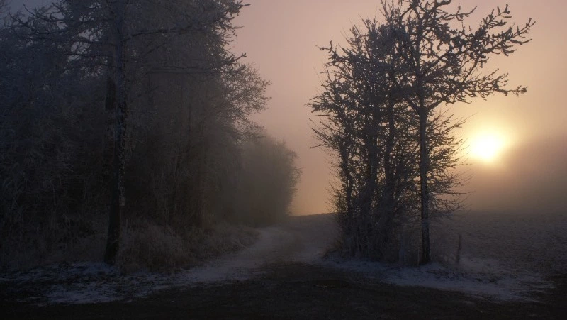 Церковный праздник 17 января 2024 года: что нельзя делать, приметы