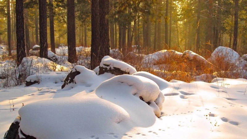 Народные приметы на 19 февраля: что строго нельзя делать