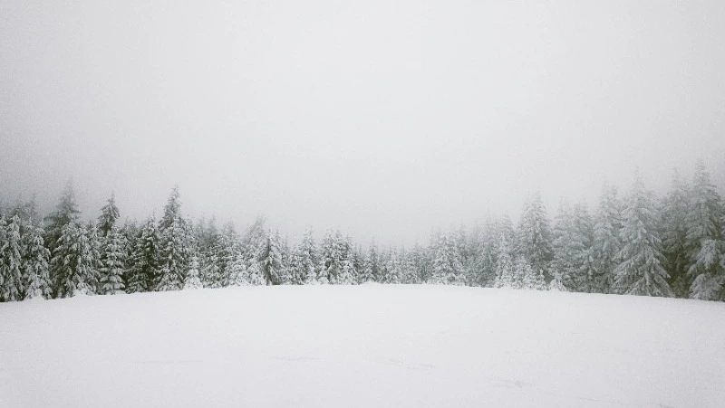 Снег и -33 градуса: прогноз погоды в Сахалинской области на 18 января 