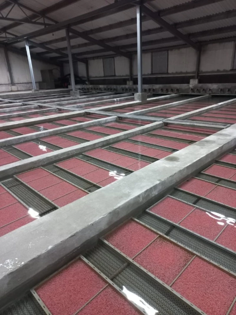 Расти, рыбка, не маленькая, а большая... 