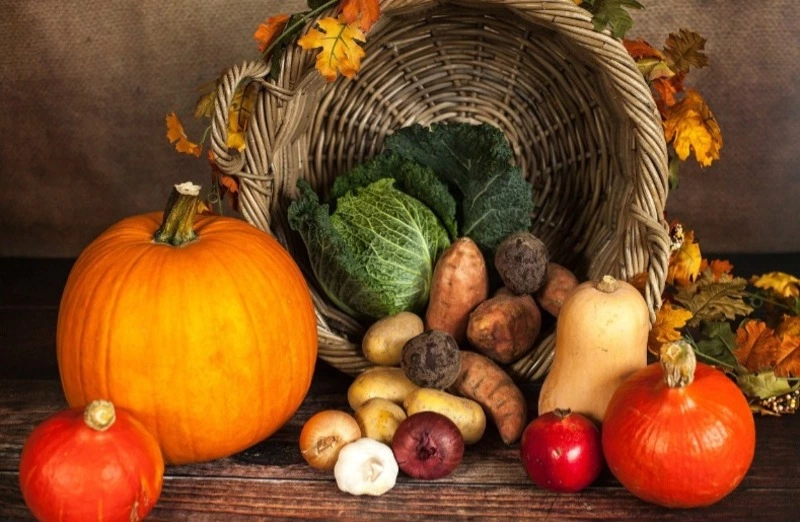 Где продать излишки огородной продукции