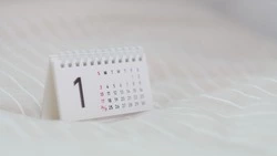 Когда будем отдыхать в 2024 году: график праздничных дней                           