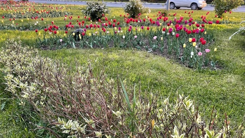 Народные приметы на 1 июня 2024: что строго нельзя делать  