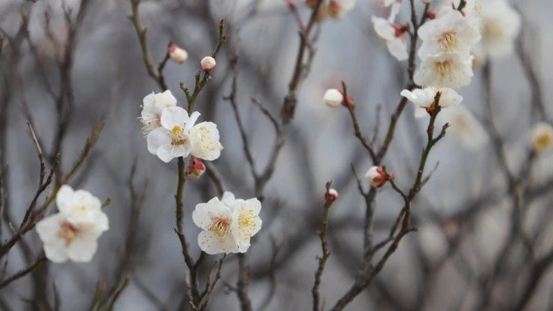 Народные приметы на 20 апреля: что строго нельзя делать 